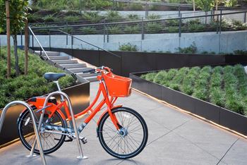 Yard apartments bike on bike rack